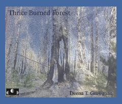 thriceburned-forest-9209a03f34be4422b426a2edf8cb32b2